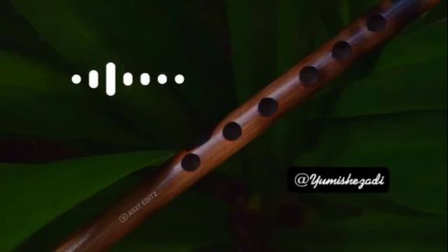 Amazing Ringtone || Hindi Music 🎵🎶 || viral ringtone || zabrdast music 🎼 смотреть онлайн