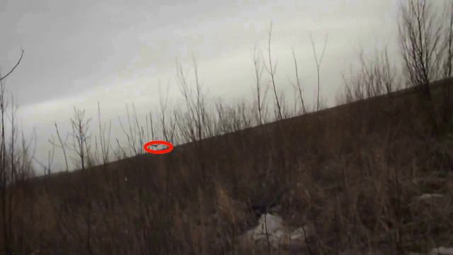 Копия видео "Натаска легавых" смотреть онлайн