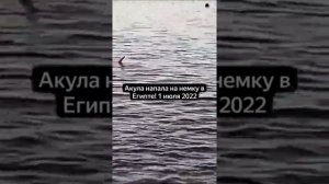 Акула напала на женщину. Египет, Хургада, отель Тропитель Сахл Хашиш, 2022 год.