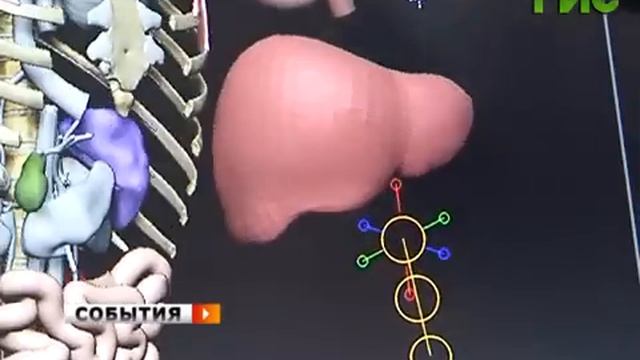 Атлас анатомии человека в формате 3D смотреть онлайн