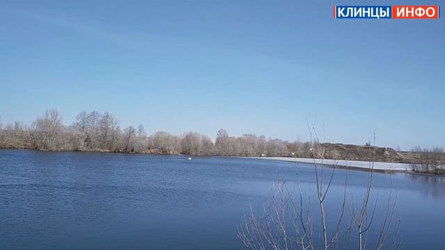 Белые лебеди прогоняют конкурентов смотреть онлайн