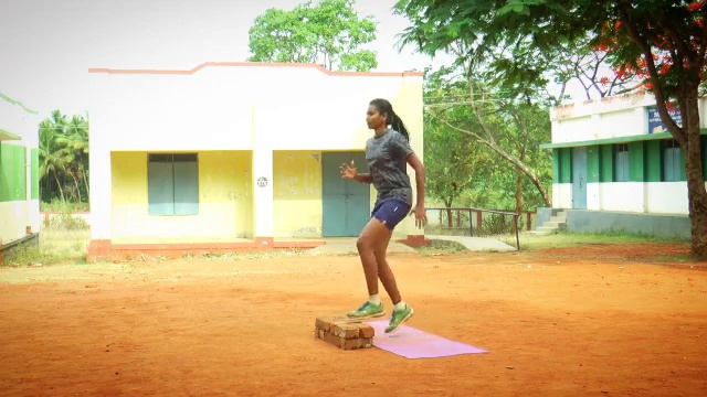 Plyometric Stepper Workouts ? || Stepper Cardio Workout? ||Stepper Exercise?