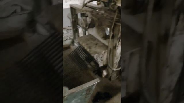 Гранулятор казань Завот Химград