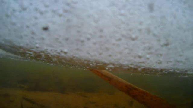 Экшин камера съёмка под водой.Action camera filming underwater. смотреть онлайн