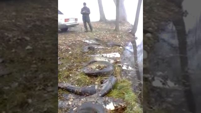 CAM_0100.mp4СОМ- зарыбление озера. п.Комсомолец. смотреть онлайн