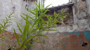 Трущобы. Вымирающий город. Кизел. Южный Коспашский