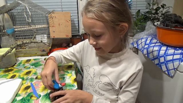 Как сделать из шишек сову смотреть онлайн