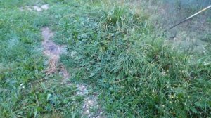 как ПРАВИЛЬНО косить бензокосой (тримером)