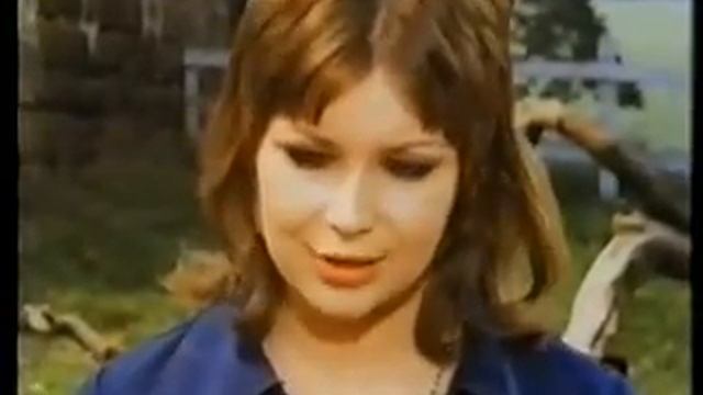 Follyfoot ''Fly Away Home'' смотреть онлайн