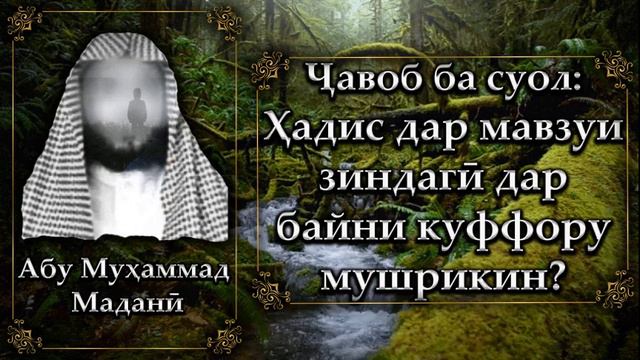 Ҳадис дар мавзуи зиндагӣ дар байни куффору мушрикин?Шайх Абу Муҳаммад мадани ҳафизаҳуллоҳ. смотреть онлайн