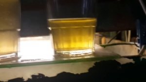 это реально работает как развести Инфузорию. инфузория стартовый корм. корма для, Aquarium fish