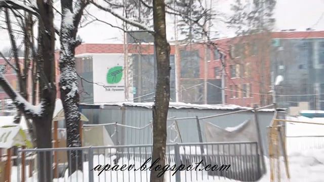 Москва, ТРОИЦК 2024 глазами кинолога (обзорное видео) смотреть онлайн