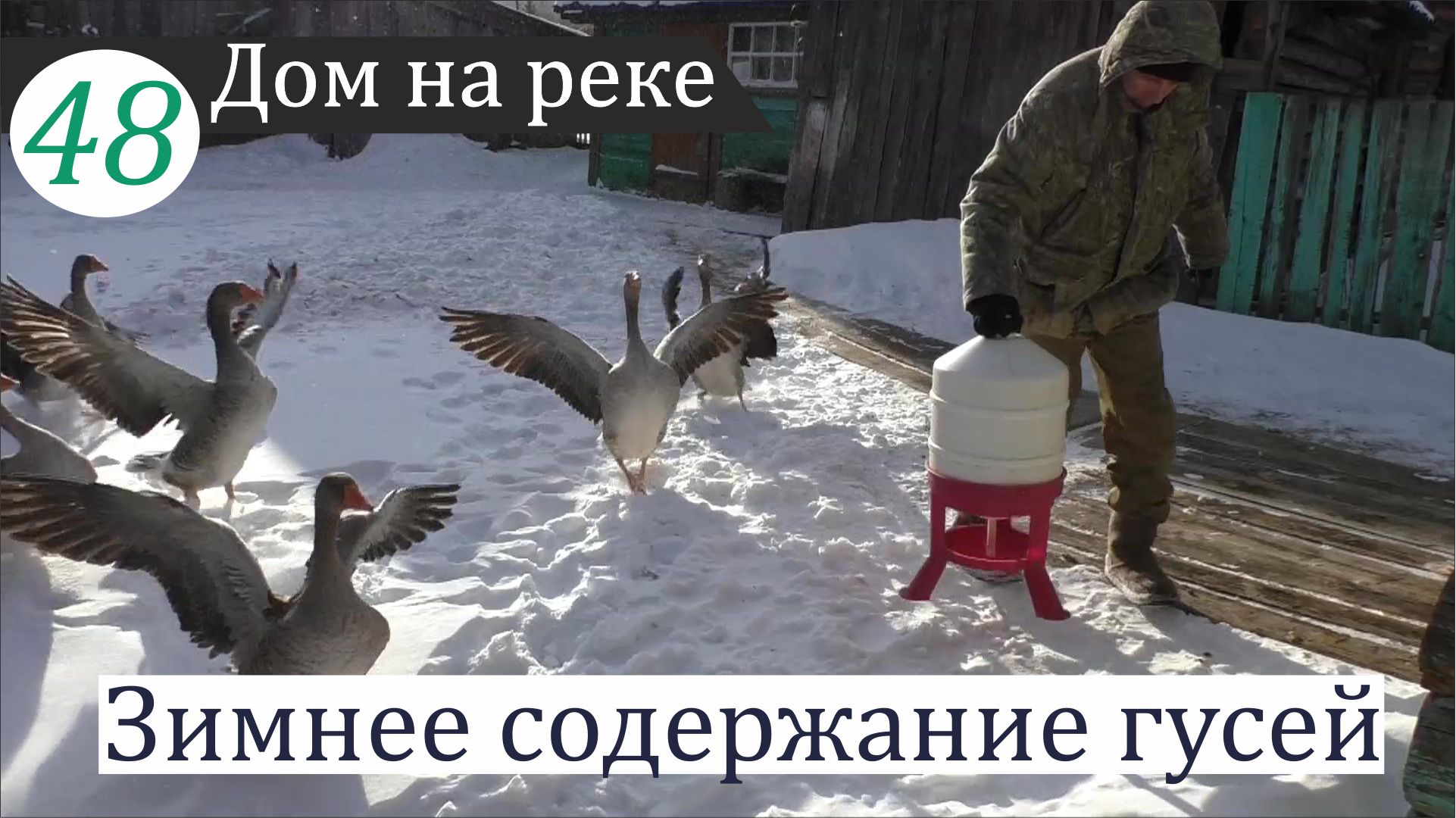 Как гуси зимуют. Дом на реке, часть 48 смотреть онлайн