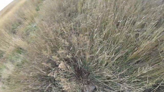 коп на полевом стане смотреть онлайн