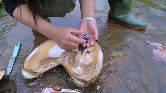 Red meat clams evolved over a century. The pearls inside are very beautiful and rare to see смотреть онлайн