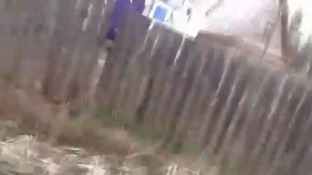 Разведение карася на даче смотреть онлайн