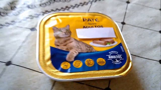 Cómo desintoxicar a tu gato смотреть онлайн