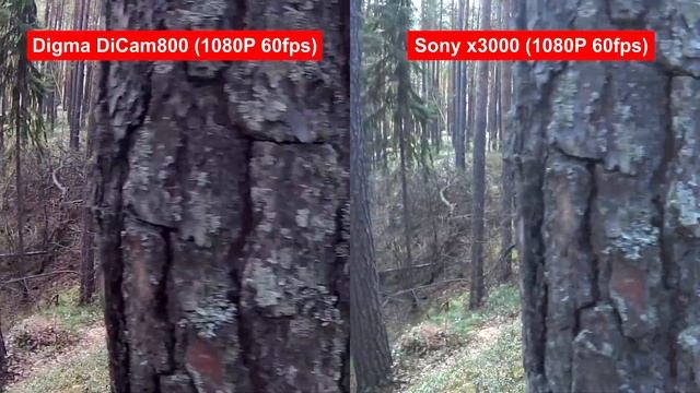 Тест экшн-камеры Digma DiCam 800. Сравниваю с Sony x3000 смотреть онлайн