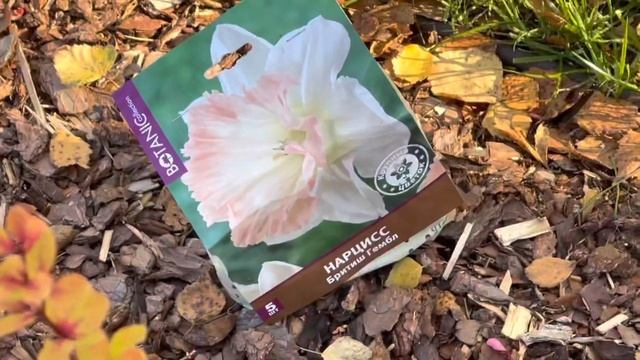 Лучшие растения для осенней посадки. Розы, лилейники, тюльпаны и нарциссы. смотреть онлайн