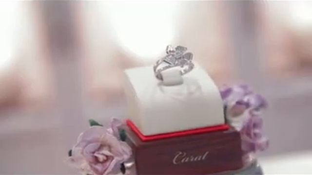 Любимый гость Частной Коллекции расскажет Вам обо всём! смотреть онлайн