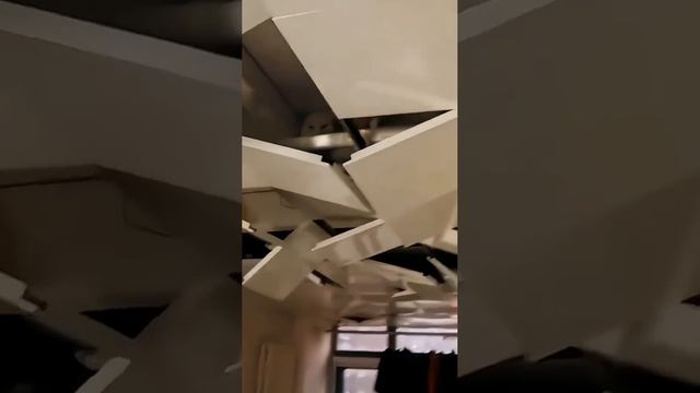 Котики смотреть онлайн