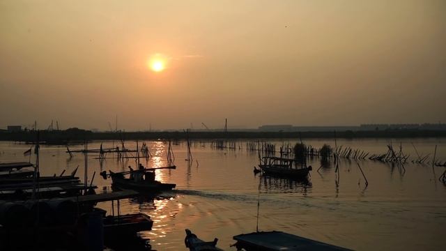 Why Indonesia is Moving Their Capital City смотреть онлайн