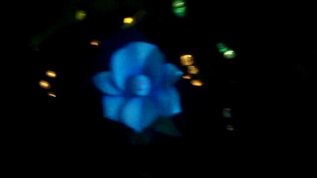 Alice in Wonderland @ DisneyLand смотреть онлайн