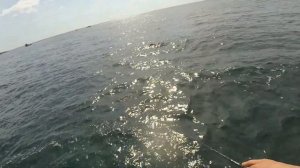 Ловим Саргана и каменного окуня в Голубой бухте, Рыбалка в Севастополе.