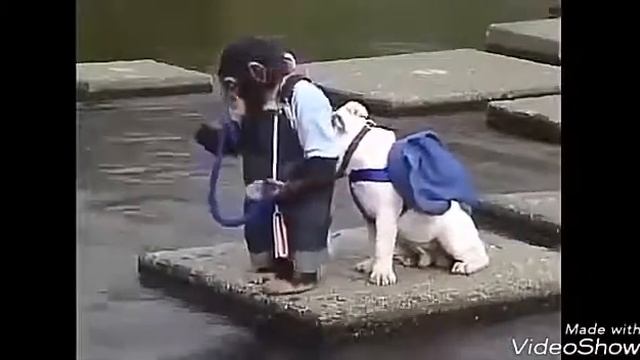 Вот что значит настоящий друг! смотреть онлайн