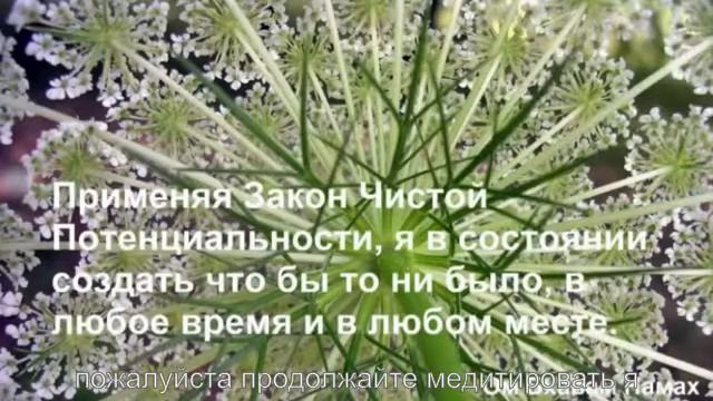 8 День Медитация Изобилие и Закон Чистой Потенциальности смотреть онлайн