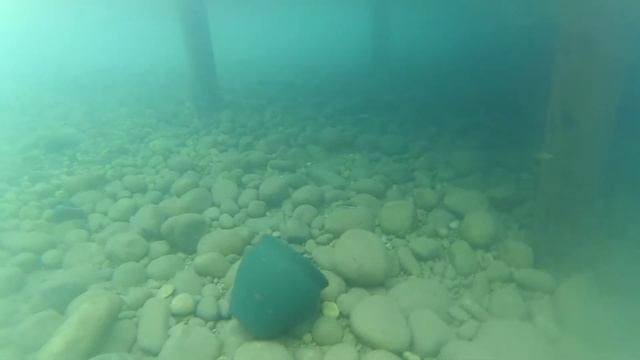 Турция. Кемер. Подводный мир средиземного моря. смотреть онлайн