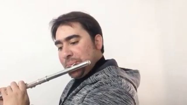 Flauta Yamaha 221 смотреть онлайн