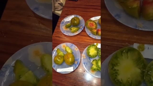 Зеленоплодные сорта томатов. Дегустация и обзор смотреть онлайн