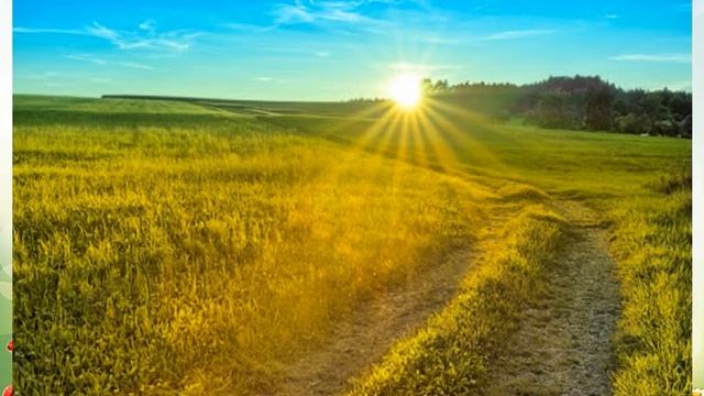 Навчання грамоти. В.Сухомлинський "Скільки ж ранків я проспав". вчитель Одеської ПШ №95 Жтенко А.Ю. смотреть онлайн