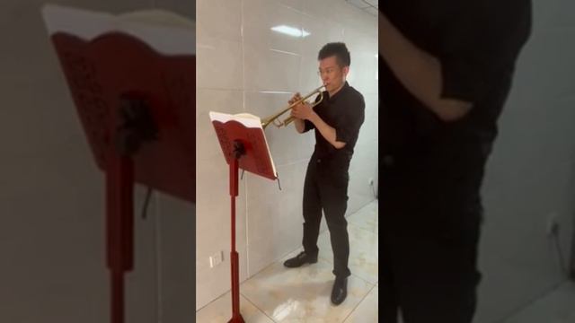 concerto J N Hummel Ван Вэй смотреть онлайн