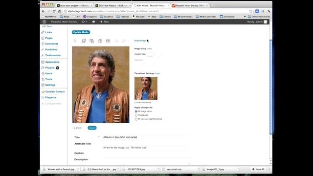 Wordpress Your Media Library смотреть онлайн