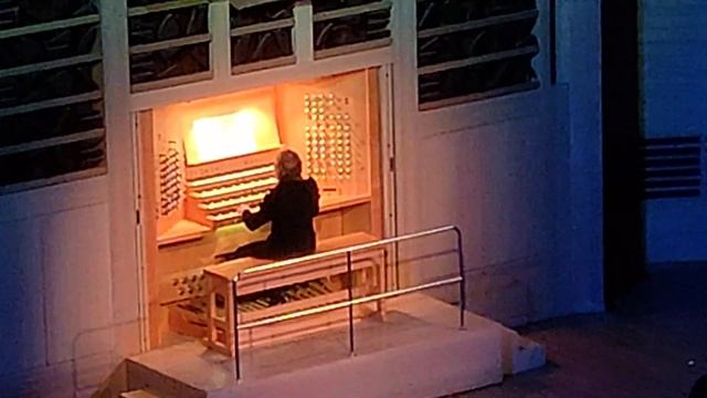 Луи Дакен - Кукушка. Исполняет Людмила Голуб, орган, Московский Дом Музыки, Светлановский зал смотреть онлайн