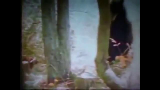 ВЕРСУС РОСОМАХА! Её боятся волки и даже медведи!!! смотреть онлайн