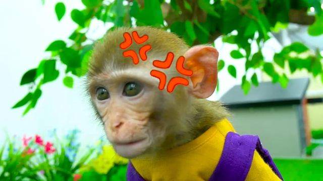 Baby Monkey Kiki Trying to Escape 100 Mystery Buttons Challenge | Funny Cartoon by KUDO ANIMAL KIKI смотреть онлайн