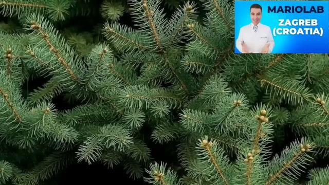 Br. 1 Prirodni Lijek Za PLUĆA! Sprečava RAK, BRONHITIS, ASTMU...