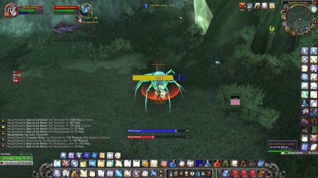 Seal Twisting WOW TBC Classic, Seal of Command, Seal of Blood (watch in slow motion) смотреть онлайн