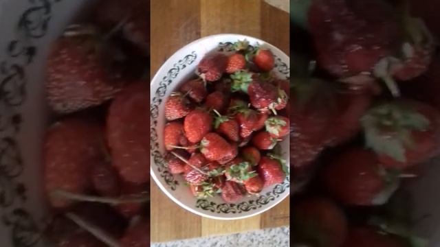 десерт вкусная клубника с йогуртом и с сметаной смотреть онлайн