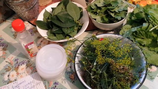 Тайная эзотерическая энергетика гармонии девственности