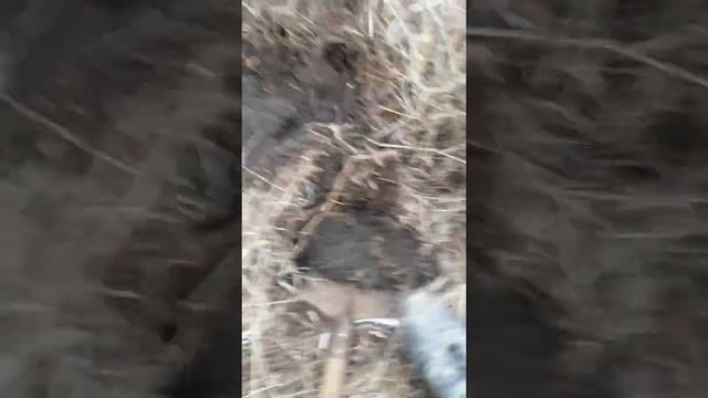 металлоискатель ar944m смотреть онлайн