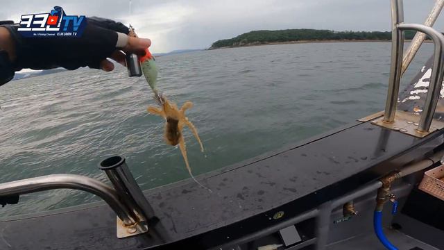 풍랑주의보 떨어진 날 쭈꾸미낚시 수중전!(feat.해물짜장라면) смотреть онлайн