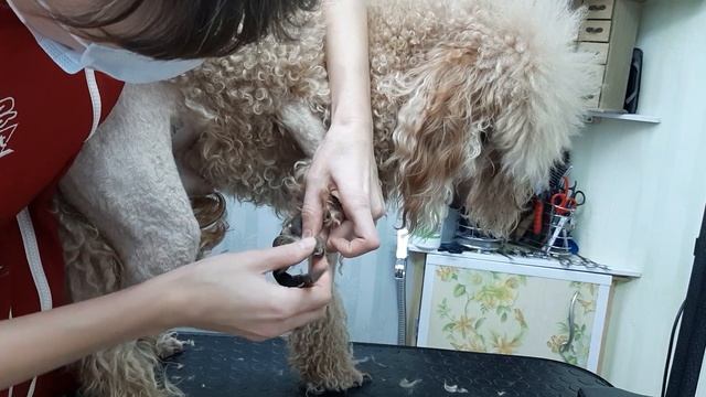 Брыкающиеся лапки.)) смотреть онлайн