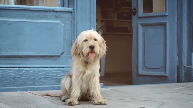 Lady Gaga - Artpop (Music Video)