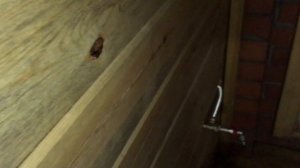 Печь Емельяныч - отзыв Алексея о банной печи