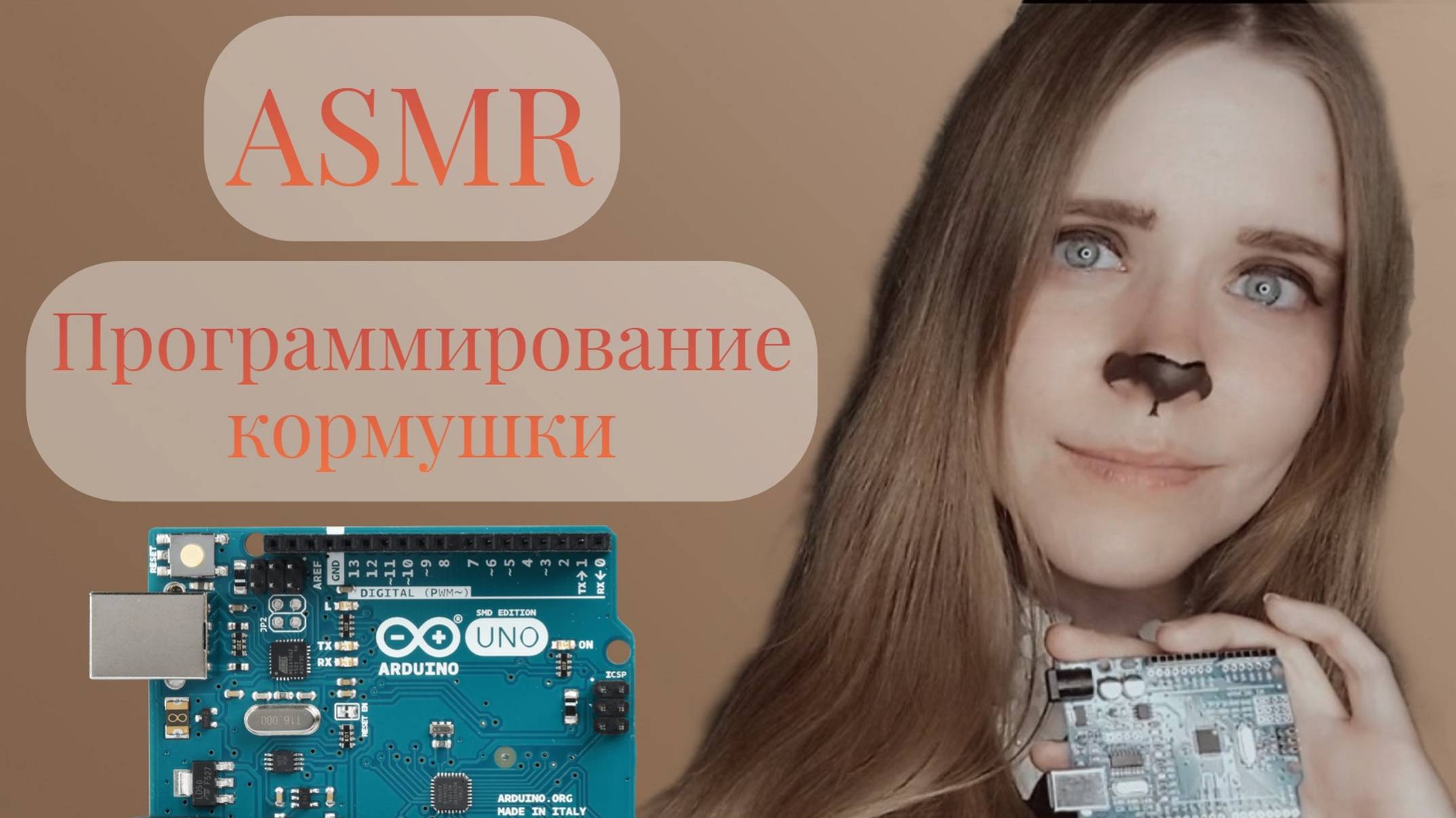 ASMR Arduino | Программирование кормушки для котиков | АСМР Ардуино