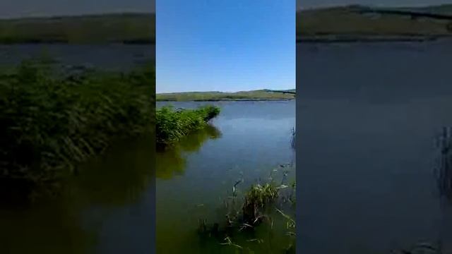 Рыбалка на карася в Керчи, Крым смотреть онлайн